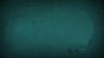 images/wall.png