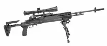 MK14 DMR.jpg
