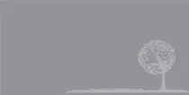 imagenes/gray1.png