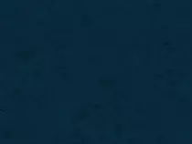 bg1.gif