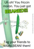 News Hub and Links/bean.jpg
