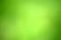 green.jpg