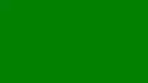 green2.jpg