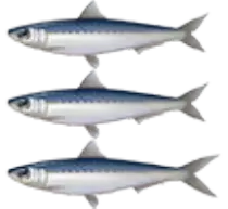 juegos/dolphin/assets/images/sardinaSprite.png