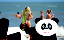 P2P_2-OB/imagenes/foto.png
