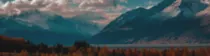 images/partners/partner_bg.png