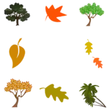 border3.png