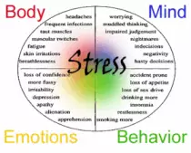 stress2.gif