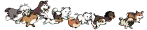 dogrun.gif