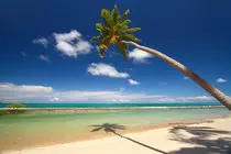 images/praiadoscarneiros.jpg