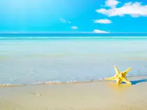 images/beachwallpaper.jpg