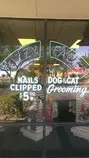public/photos/fuzzy-faces-store.jpg