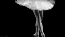 images/ballet14.gif