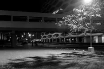 images/pic1.jpg