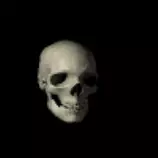 assorted/skull.gif