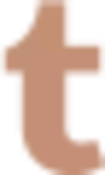 icon-tumblr.png