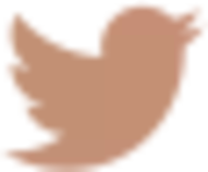 icon-twitter.png