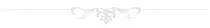 images/000040.png