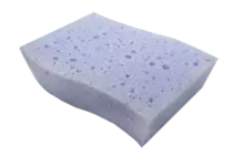 sea-sponge.png