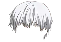 toupee.png