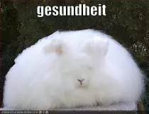 gesundheit.jpg