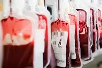 rsc/sangre.jpg