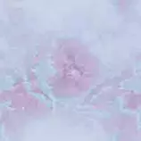 cool.jpg