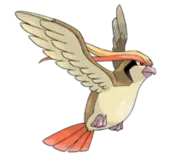 img/Pidgeot.png