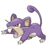 img/Rattata.png