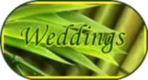 weddings.png