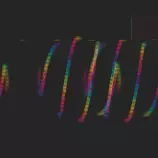 gif2.gif