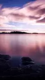 wallpaper2.jpg