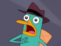Perry the plattypus.jpg