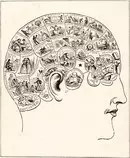 images/phren.jpg