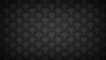 NewBackground3.jpg