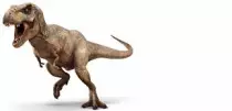 trex.jpeg