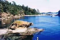 boating/joe/08.jpg