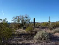 trips/az13/52.jpg