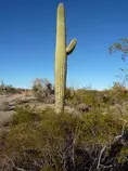 trips/az13/55.jpg