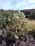 trips/az13/99.jpg