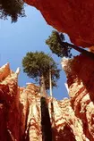 trips/utah11/18.jpg