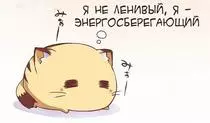 assets/img/notlazy.jpeg