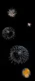 Wizard Works Fireworks/back.jpg