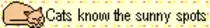 buttons/bl_sunny_spots.gif