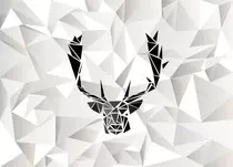White-Background-40.jpg