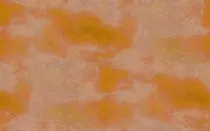 bg.jpg