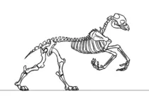 proto-horse.gif