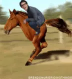 two-legged-horse.gif