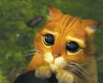Puss.jpg
