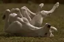 images1.jpg